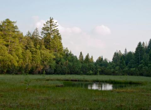 Interventi in corso Lac Vedes