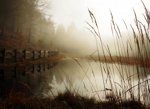 Riserva Provinciale Prati di Monte