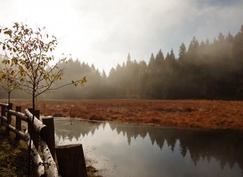 Riserva Provinciale Prati di Monte