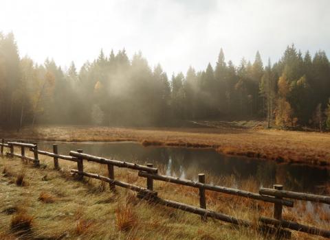 Riserva Provinciale Prati di Monte