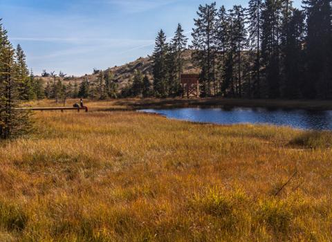 Riserva Provinciale Lago Nero