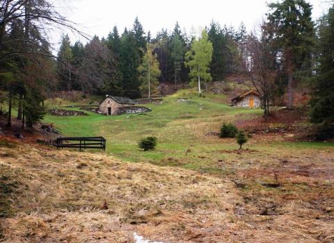 Riserva Locale Monpiana