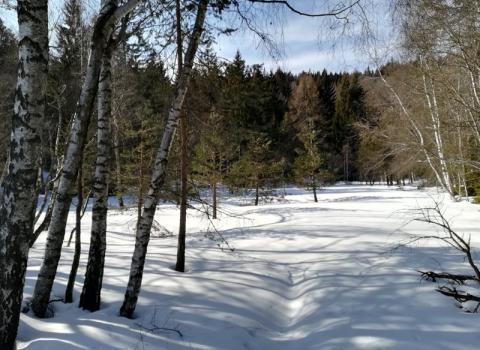 Riserva Locale Cavallo