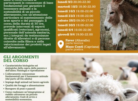 Piccolo allevamento e biodiversità