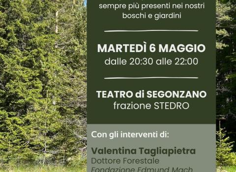 Parliamo di... ZECCHE