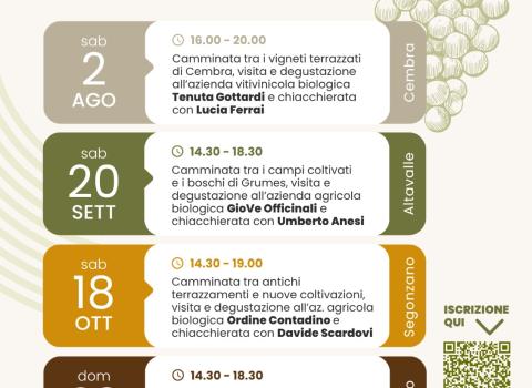 Filosofia nel Campo