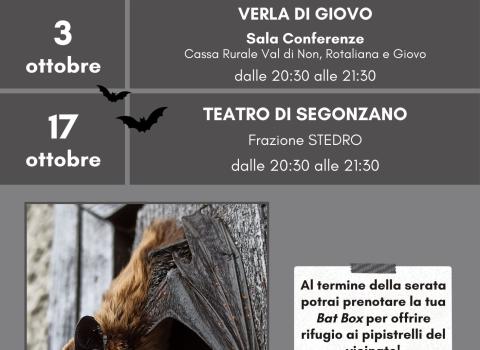 Parliamo di... PIPISTRELLI