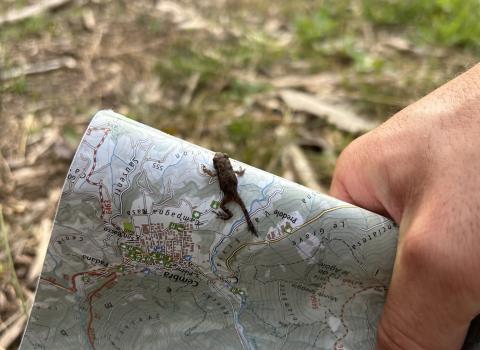Gli ambienti naturali del Mancabrot