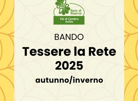 Bando Tessere la Rete 2025 - sessione autunno/inverno