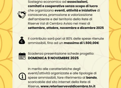 Bando Tessere la Rete 2025 - sessione autunno/inverno