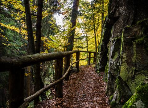 Sentiero Botanico Naturalistico