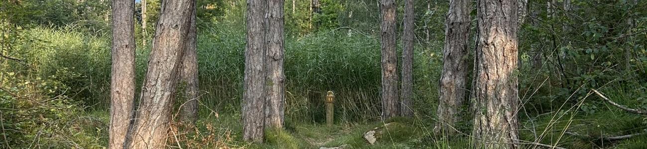 Gli ambienti naturali del Mancabrot