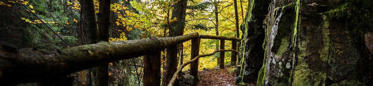 Sentiero Botanico Naturalistico