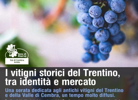 I vitigni storici del Trentino, tra identità e mercato