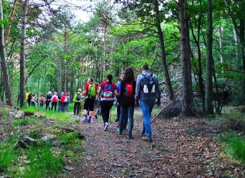 Le iniziative di agosto nella Rete di Riserve Val di Cembra-Avisio