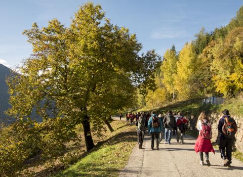 Le iniziative di settembre nella Rete di Riserve Val di Cembra-Avisio