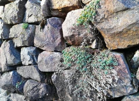 Pietra su pietra Pietra su pietra