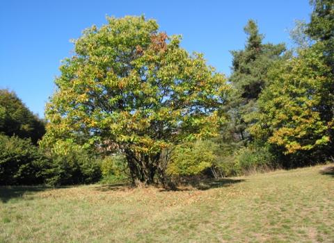 Un giro sull'Argentario