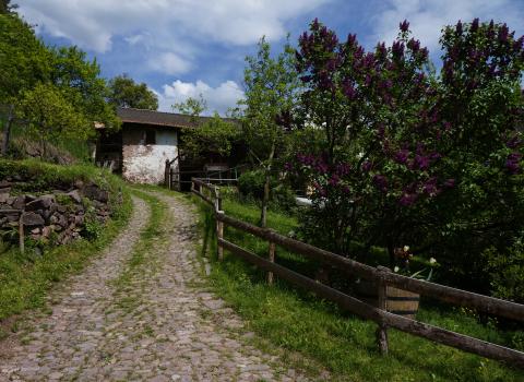 Camminata essenziale
