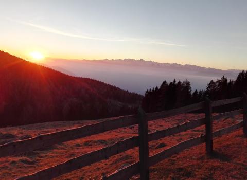 Alpeggi alle pendici del Lagorai