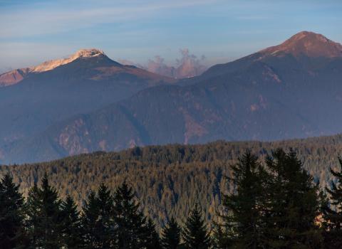 Le torbiere d'alta quota del Monte Corno