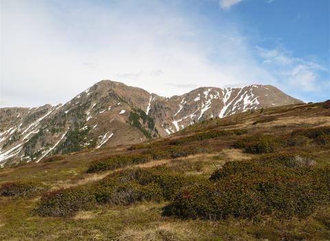Alpeggi alle pendici del Lagorai