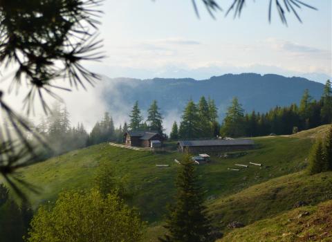 Alpeggi alle pendici del Lagorai