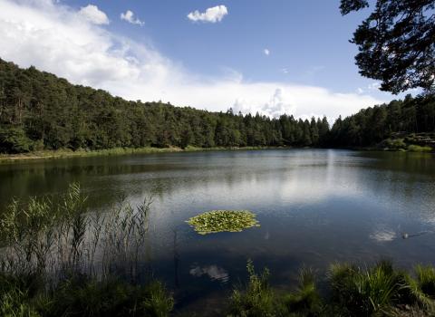 Un giro sull'Argentario