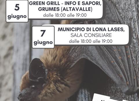 Parliamo di... PIPISTRELLI Parliamo di... PIPISTRELLI