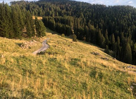 Da Montesover alla Malga Venera