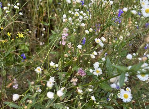 Escursione sul Monte Corona
