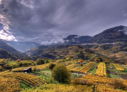 I Colori dell'Autunno I Colori dell'Autunno
