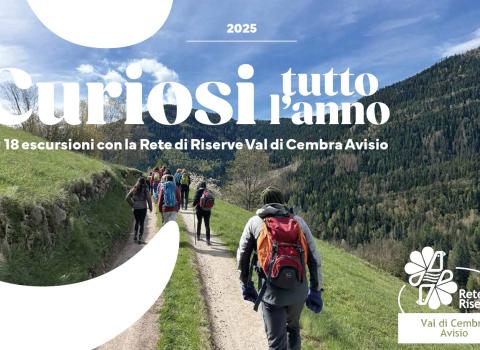 Curiosi tutto l'anno 2025 Curiosi tutto l'anno 2025