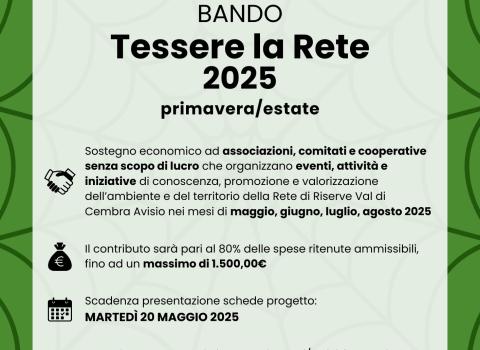 Bando Tessere la Rete 2025 - sessione primavera/estate Bando Tessere la Rete 2025 - sessione primavera/estate