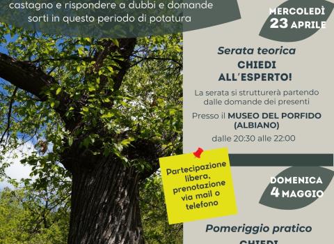 La gestione del castagno