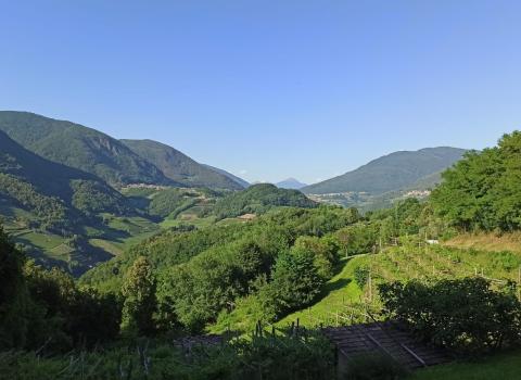 Il Monte Gorsa, tra cave e natura Il Monte Gorsa, tra cave e natura