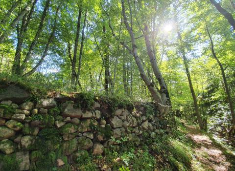 Sentiero dei Vecchi Mestieri Sentiero dei Vecchi Mestieri