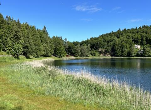 Il Lago Santo e la torbiera del Lagabrun