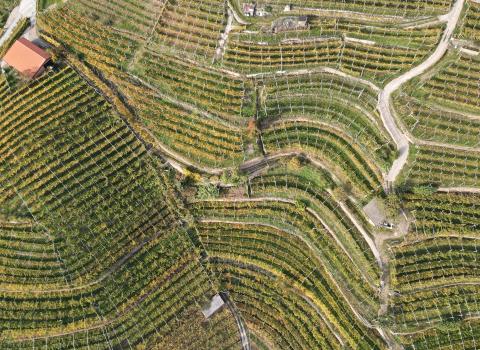 San Leonardo e le campagne di Lisignago