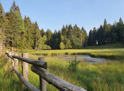 Il Lago di Valda, torbiera d'alta quota