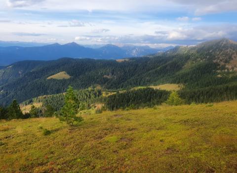 Alpeggi alle pendici del Lagorai Alpeggi alle pendici del Lagorai