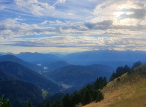 Alpeggi alle pendici del Lagorai Alpeggi alle pendici del Lagorai