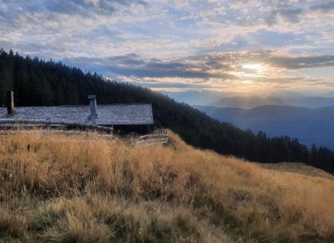 Alpeggi alle pendici del Lagorai Alpeggi alle pendici del Lagorai