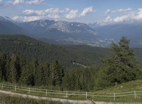 Le torbiere d'alta quota del Monte Corno Le torbiere d'alta quota del Monte Corno