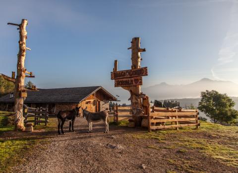 Le torbiere d'alta quota del Monte Corno