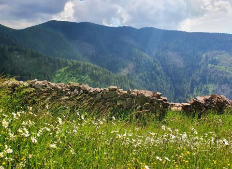 I pascoli della Valle dei fiori I pascoli della Valle dei fiori