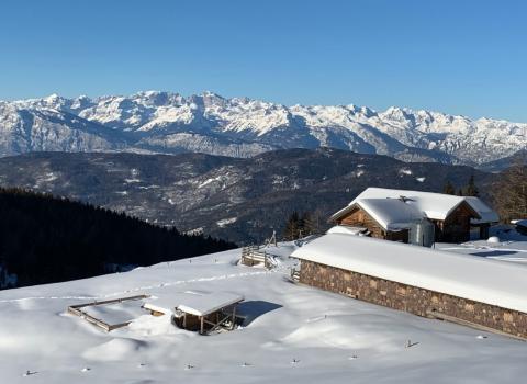 Alpeggi alle pendici del Lagorai