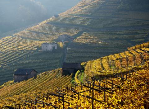 Val di Cembra coast to coast Val di Cembra coast to coast