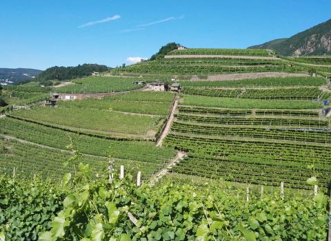 Val di Cembra coast to coast Val di Cembra coast to coast