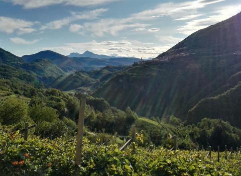 Il Castello di Segonzano e il canyon del Prà